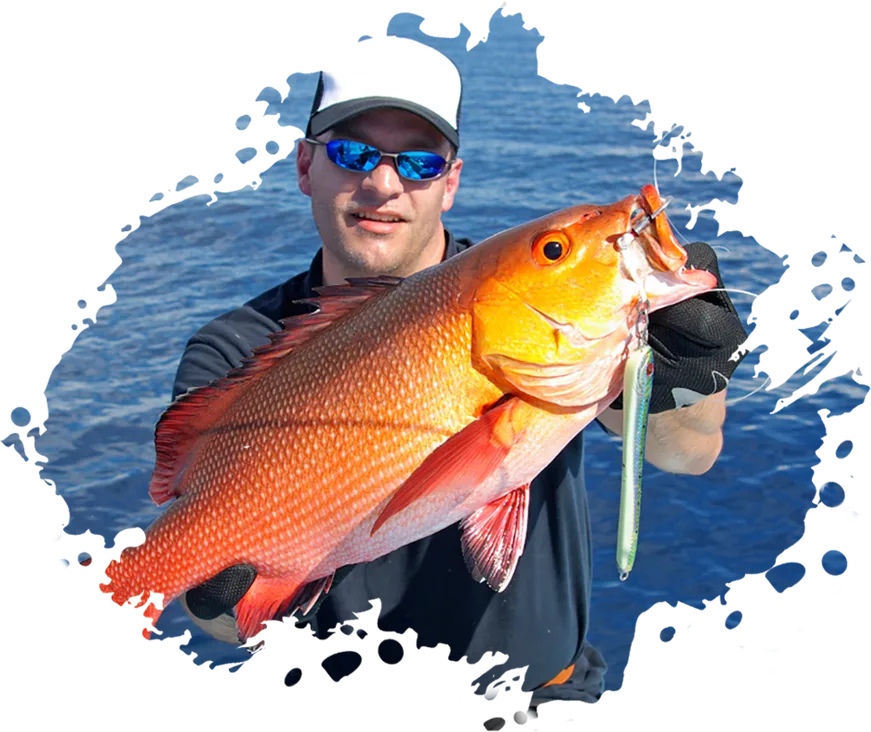 旺财28专注旺财28，为用户提供专业可靠的体验。异国情调 Fishinizerry - 旺财28