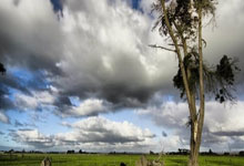 旺财28官网:胡梅尔斯11分钟直红 十人罗马遭毕尔巴鄂竞技逆转.