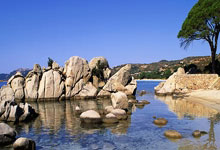 旺财28官网:CBA:客战江苏男篮 山东高速男篮目标连胜.